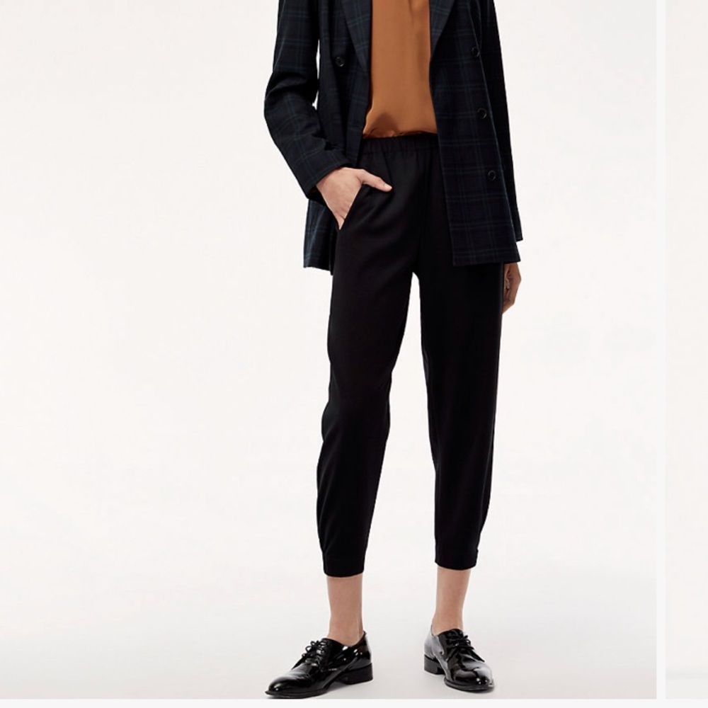Aritzia Babton Dexter pant